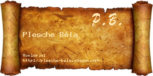 Plesche Béla névjegykártya